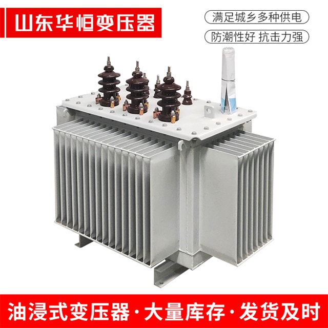 S13-10000/35东安东安东安油浸式变压器厂家